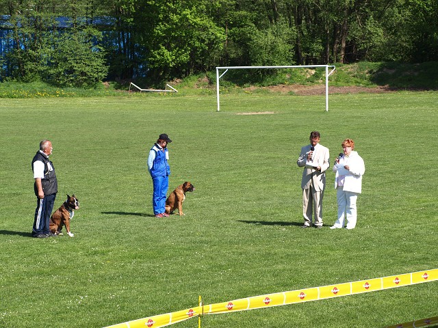 www.atibox.net * www.euroboxer.eu * www.boxergenealogia.eu